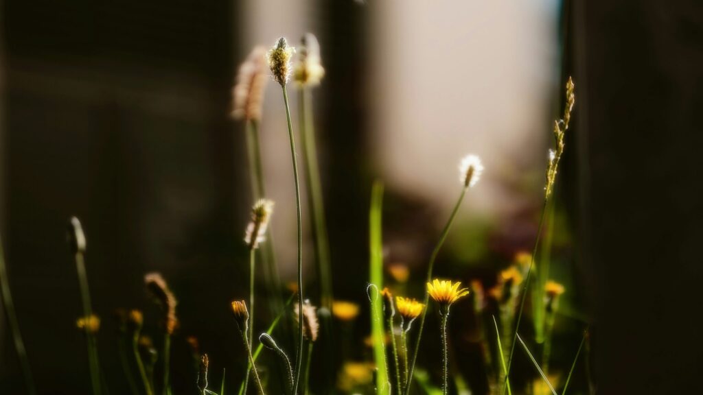 lente en lymfedrainage therapie